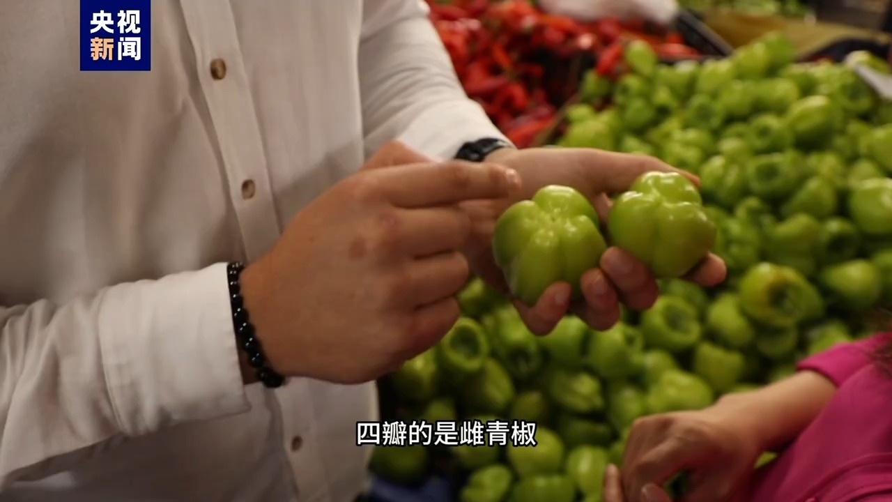 记者Vlog丨土耳其“粽子”东咸西甜_凤凰网