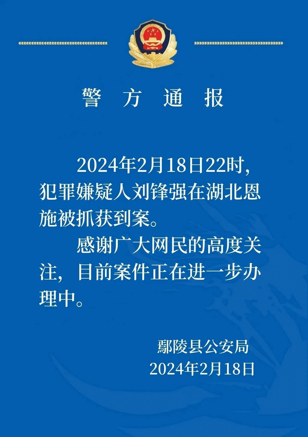 河南重大刑案嫌疑人被抓获，受害者家属：家中6人受伤，正筹钱医治