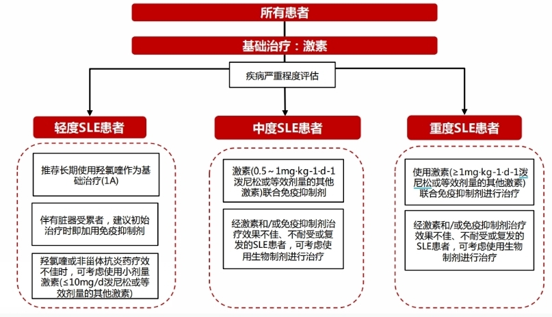 红斑狼疮再引社会关注，到底是什么病？目前有哪些药物？