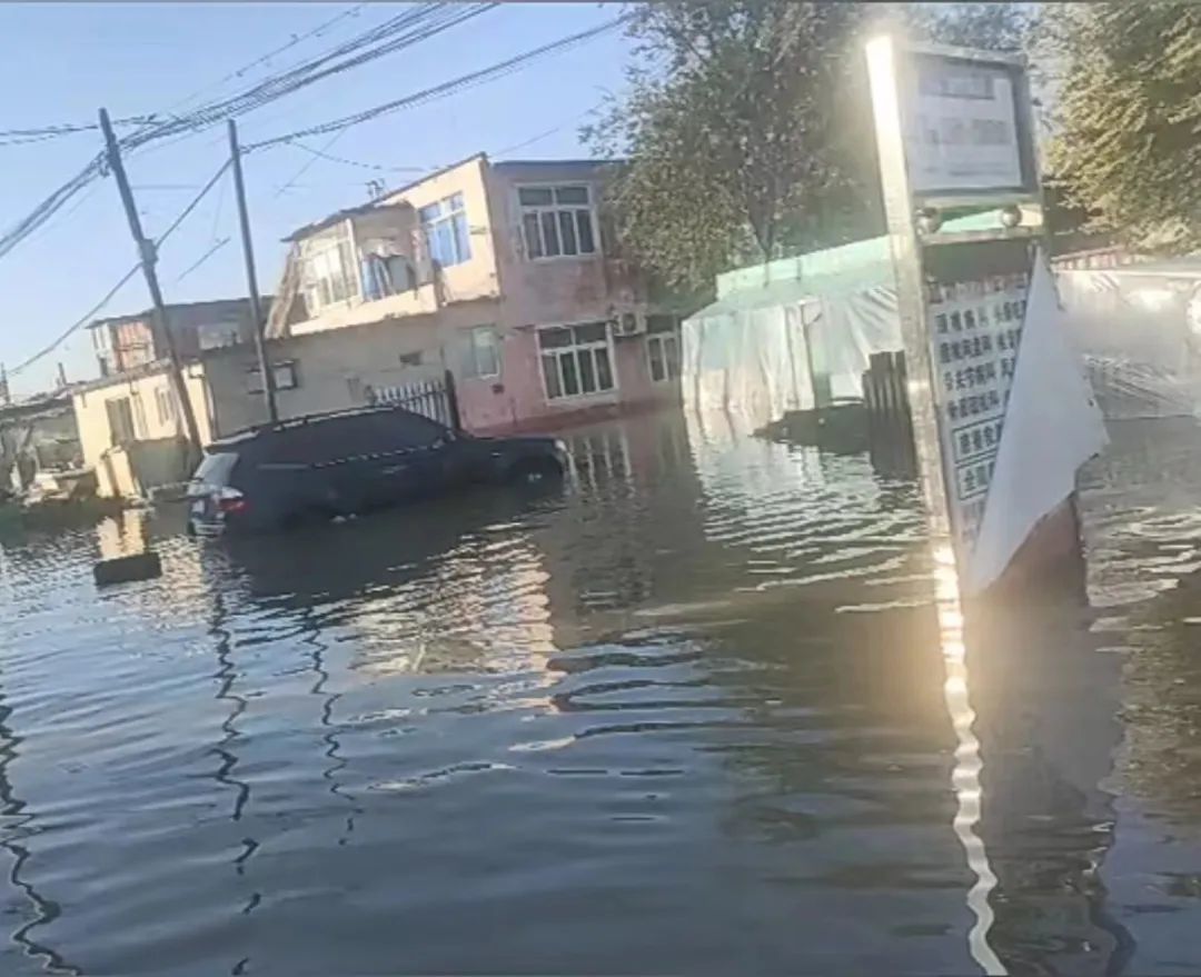 多地发生海水倒灌，如何应对？