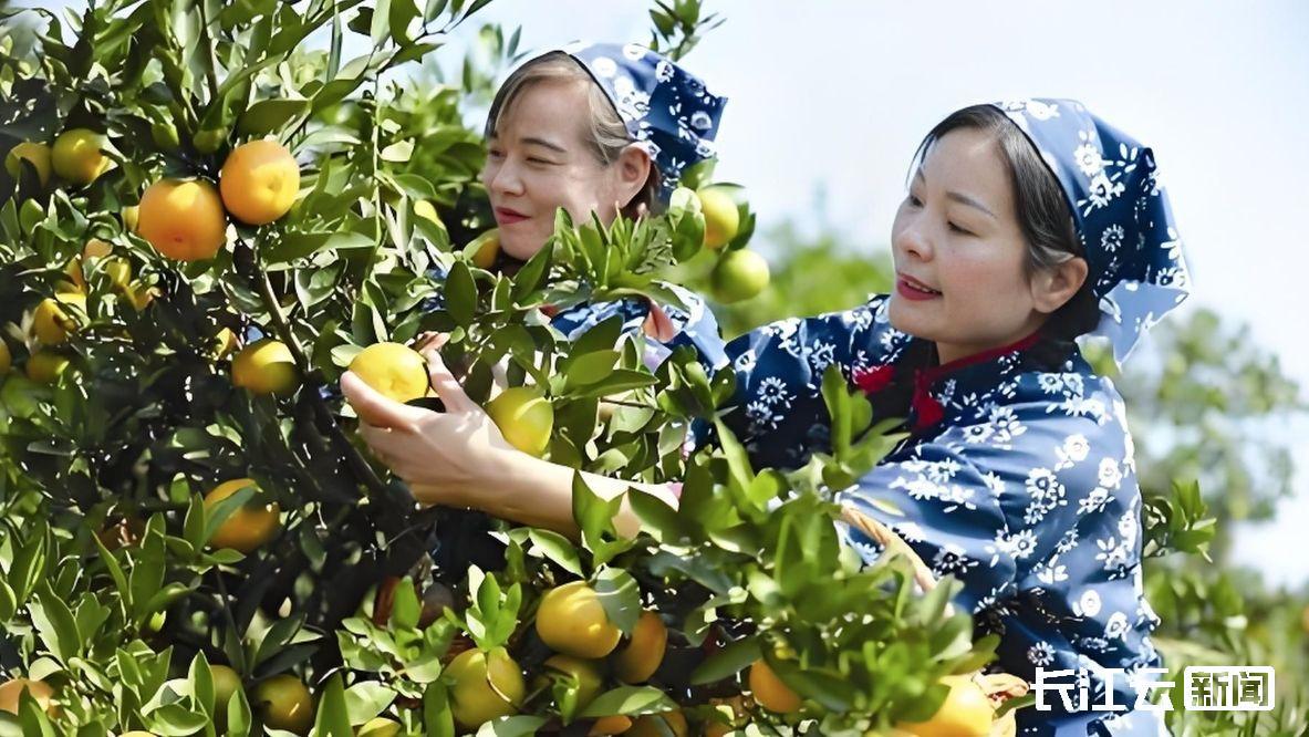 牢记总书记的嘱托｜最深情的嘱托 最清澈的爱