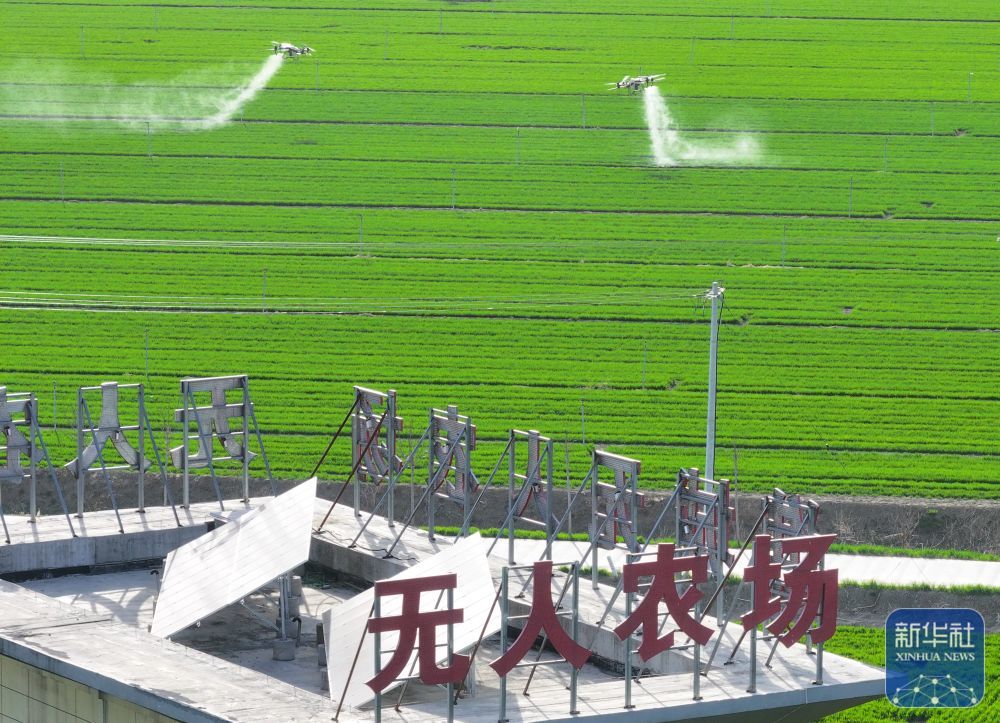 农业无人机在安徽省亳州市谯城区赵桥乡双楼村的无人农场进行自主作业（2024年3月19日摄，无人机照片）。新华社记者 杜宇 摄