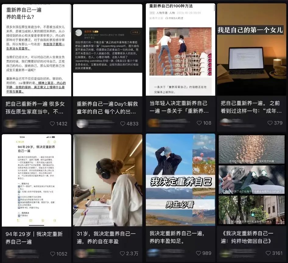 社交平台上关于“重新养自己”的相关笔记
