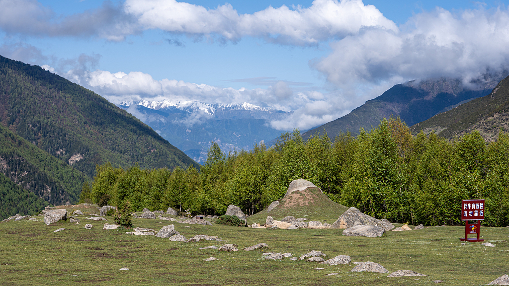 四姑娘山景區(qū)：兩男子非法開展連登登山活動(dòng)，終身禁入