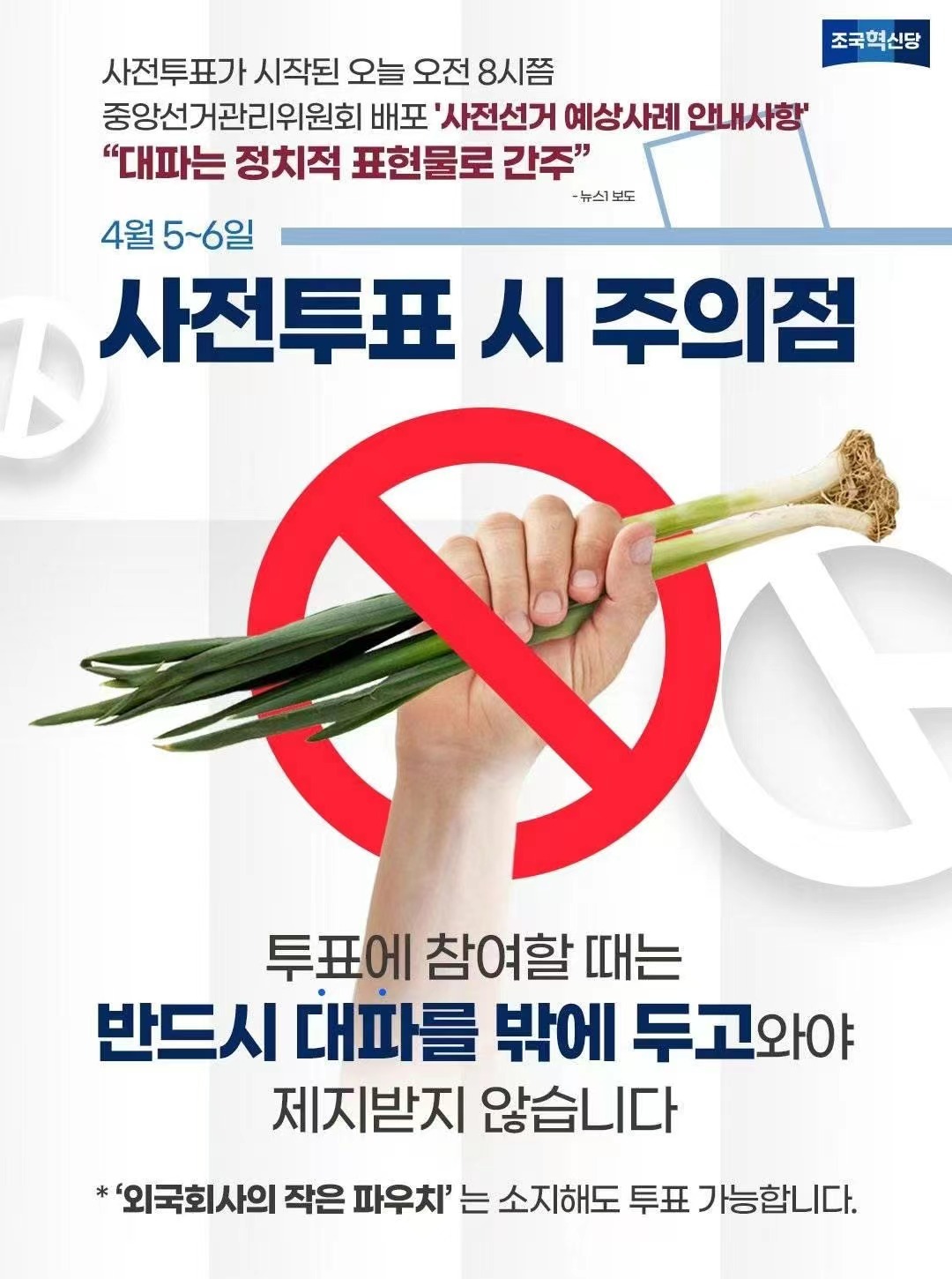 祖国革新党竞选活动海报,“提醒”:投票时不要携带大葱。来源:受访者