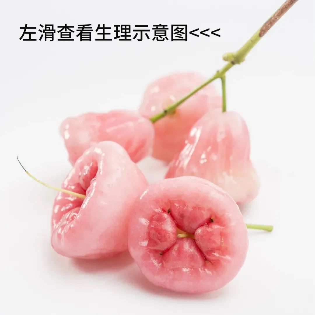 你確定這不是在玩火？“菊花”塞大蒜，可以治痔瘡？