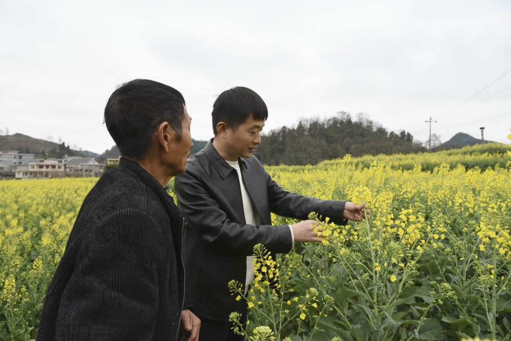 2024年2月21日，贵州省农作物技术推广总站高级农艺师凡迪（右）在遵义市播州区茅栗镇花果村指导农户做好油菜田间管理。新华社记者 胡星 摄