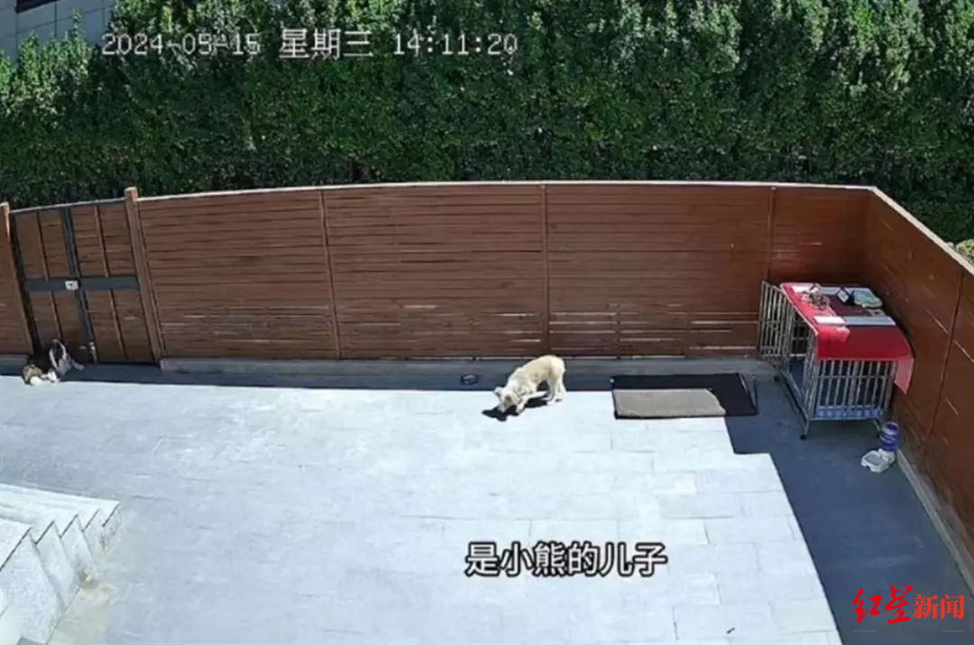 8963350d004510a55d5ca36074d6ef_副本.png