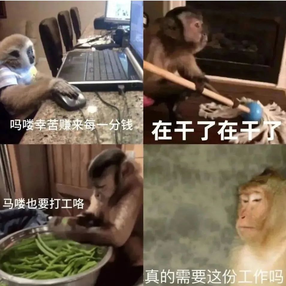 吗喽:谁真去上班,谁是真吗喽