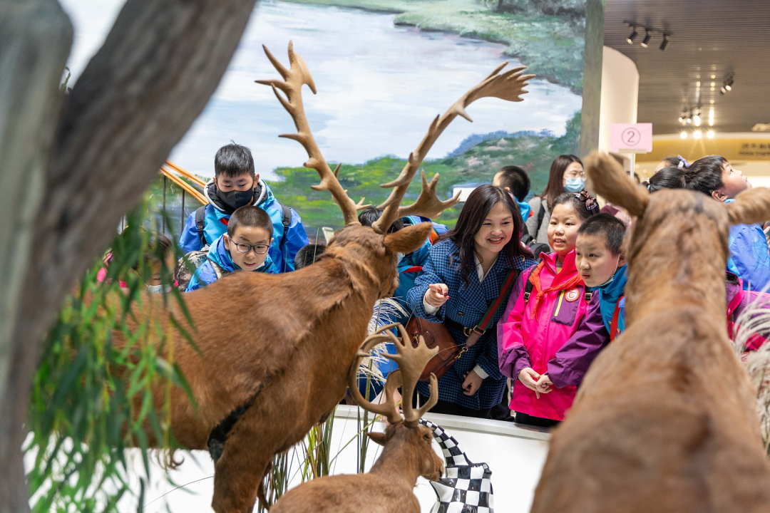 2021年12月7日，江苏省扬州市，江都区实验小学5年级学生在校方及家委会的组织下，来到凤凰岛湿地公园参观研学。（图/视觉中国）
