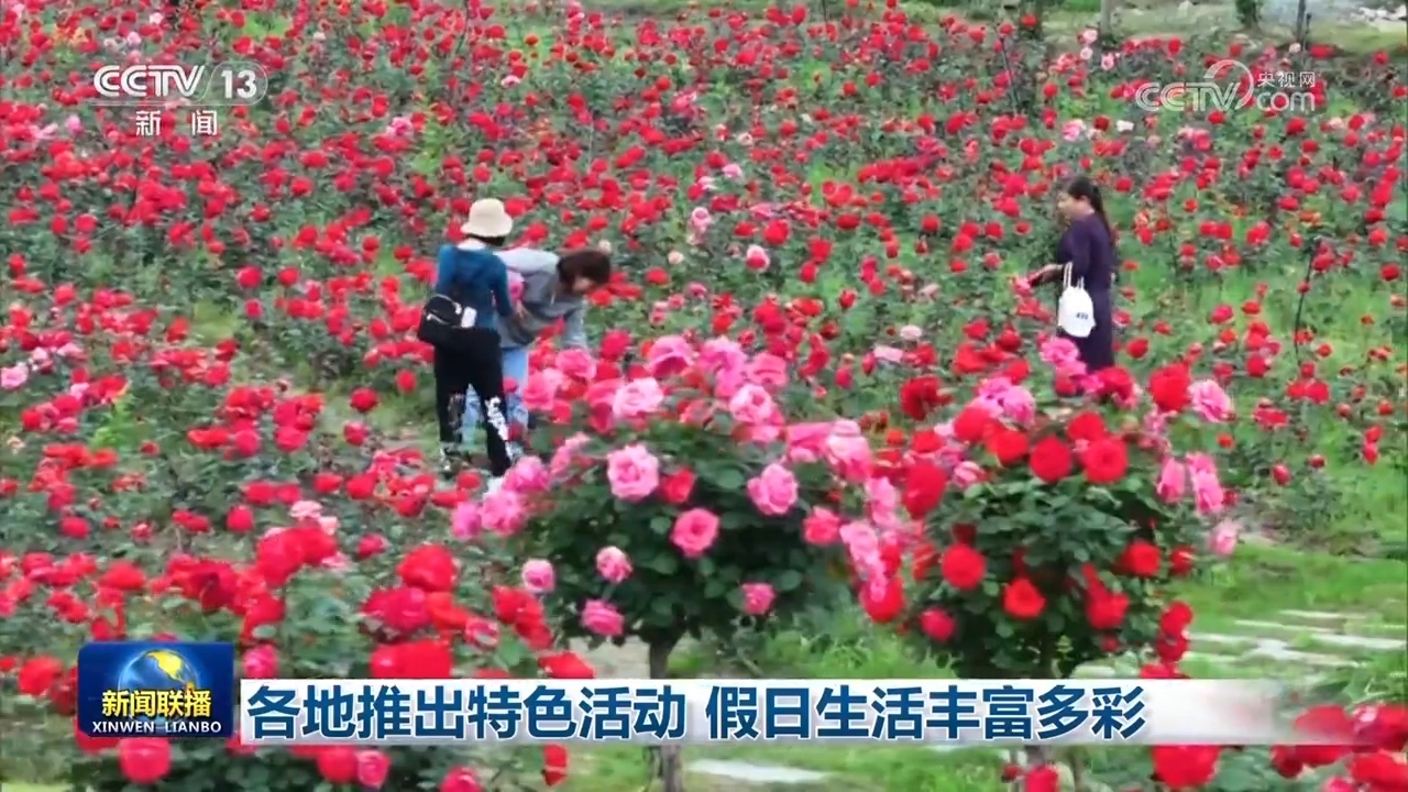 壁纸 花 桌面 1280_720