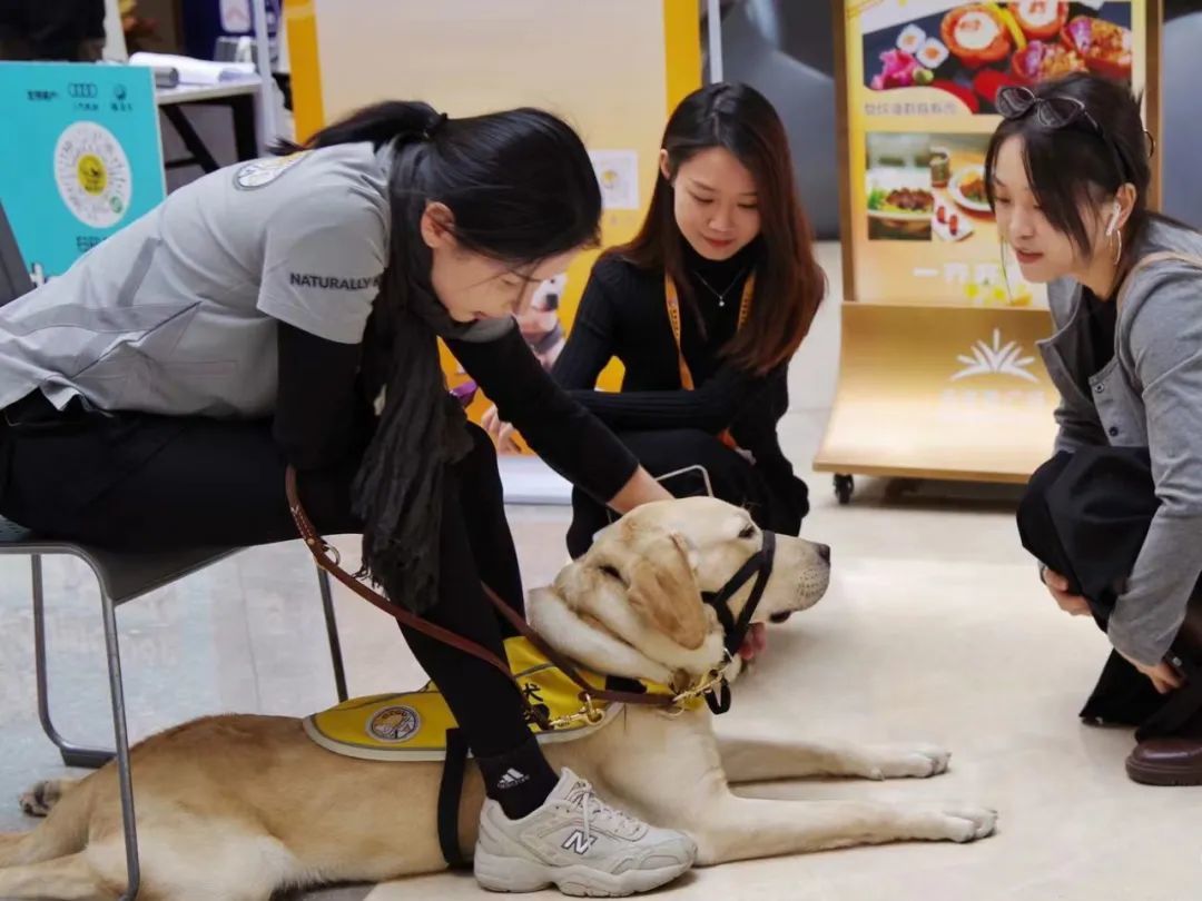 李苑甄与导盲犬