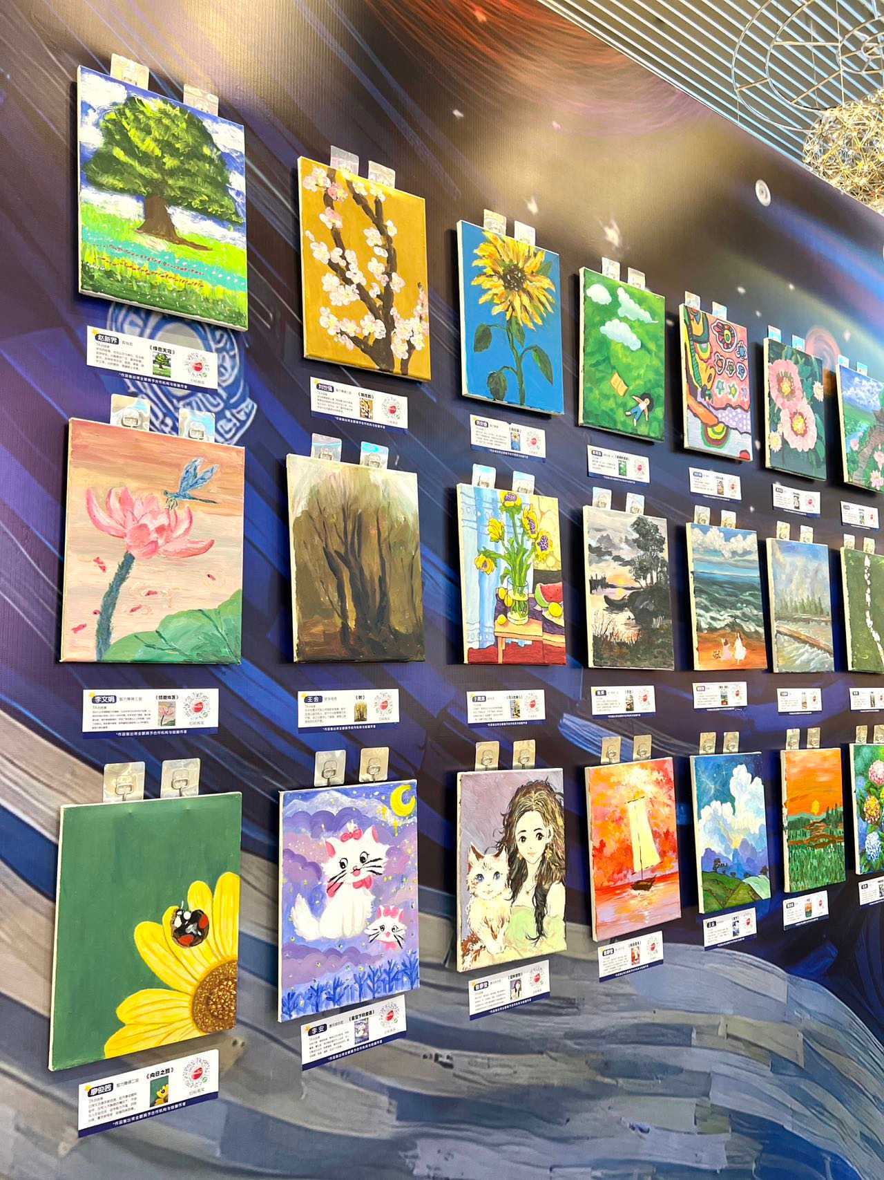 微信图片_20241107162642