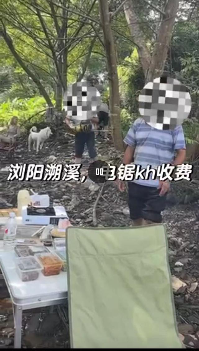 评论截图