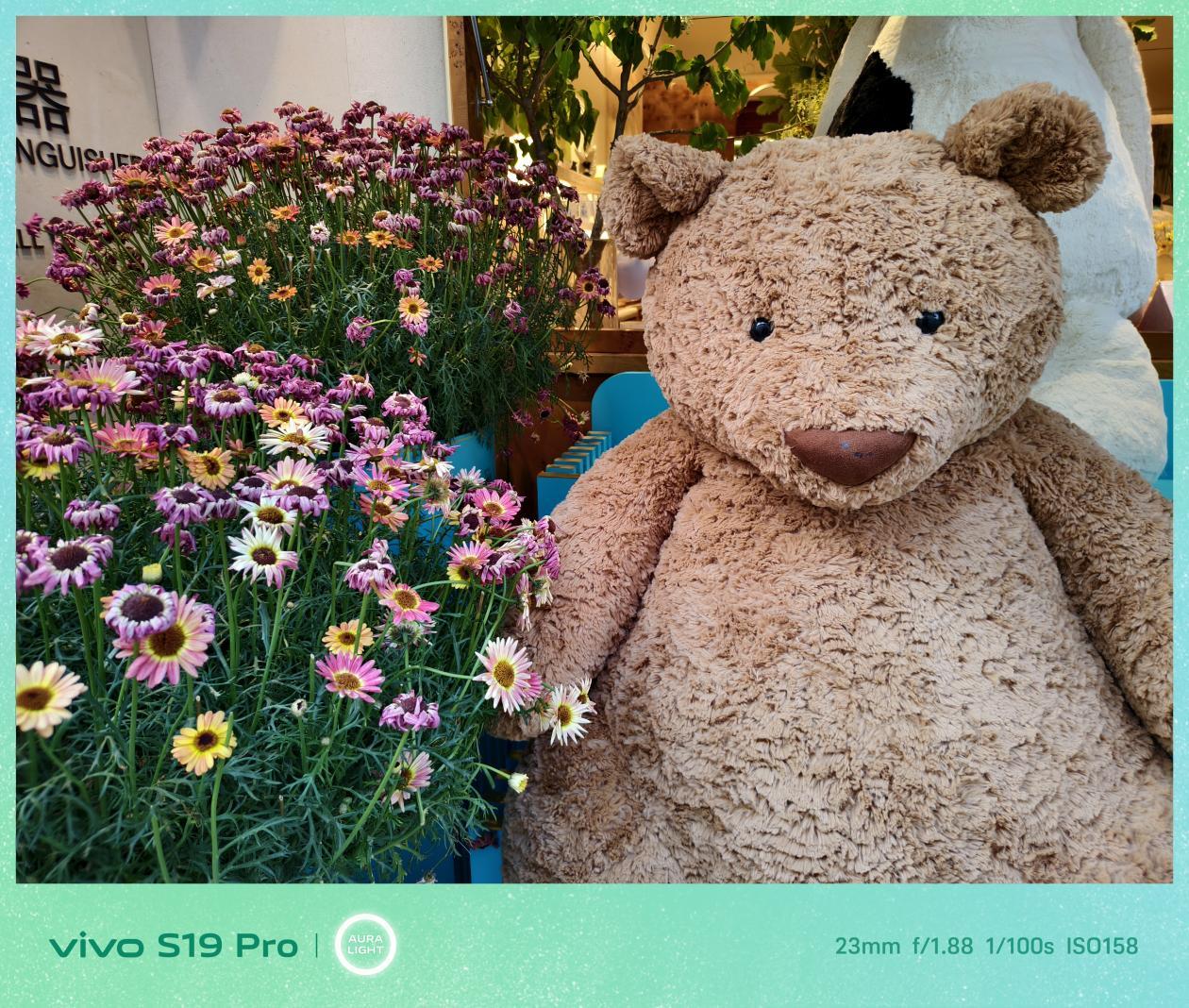 vivo S19 Pro全面评测 光的艺术,更进一步