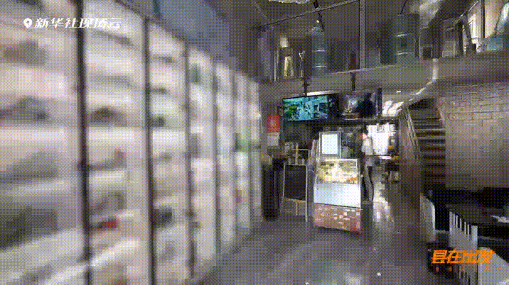 “县”在出发——行走百县话振兴|抢抓新机遇拥抱新产业 吴起焕发别样生机