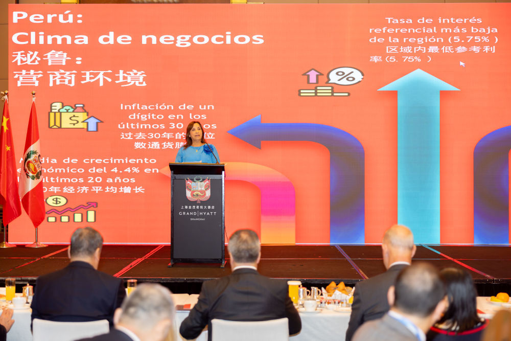 6月27日，秘鲁总统博鲁阿尔特在上海向中国企业家介绍秘鲁投资环境。新华社记者王翔 摄