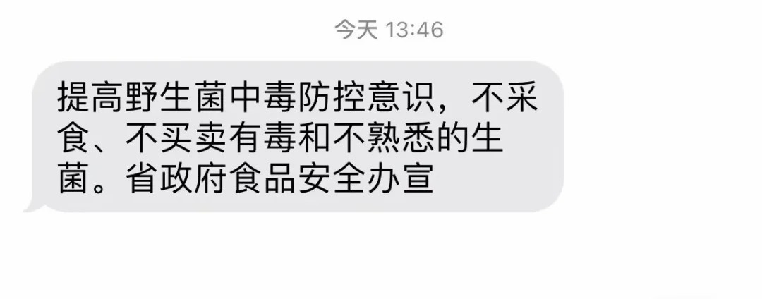 这个旅游日，用最&ldquo;野&rdquo;的方式，打开云南人的餐桌