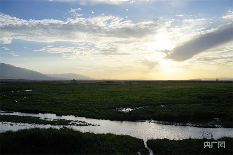 高家湖湿地风景如画（央广网发 白翔 摄）