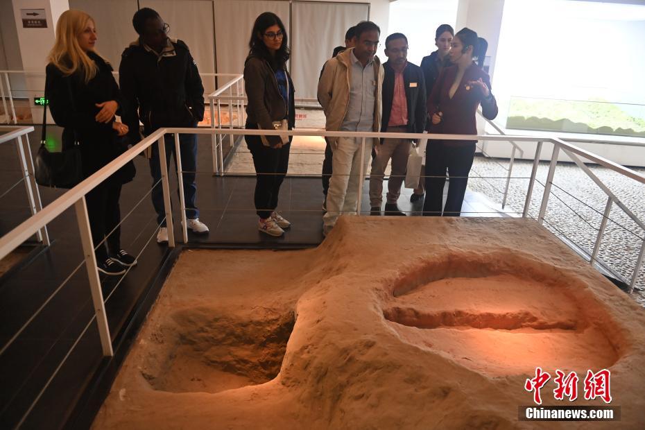 图为22国青年汉学家参观大地湾博物馆　中新社记者　李亚龙　摄