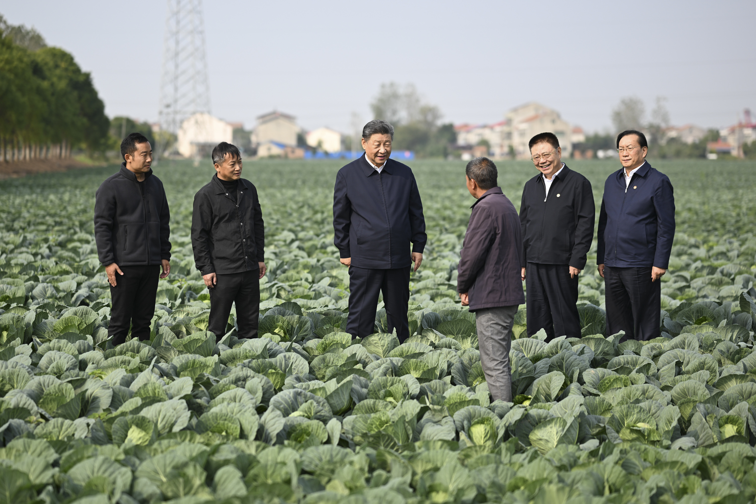 这是5日上午,习近平在咸宁市嘉鱼县潘家湾镇十里蔬菜长廊考察时,同菜农亲切交流。