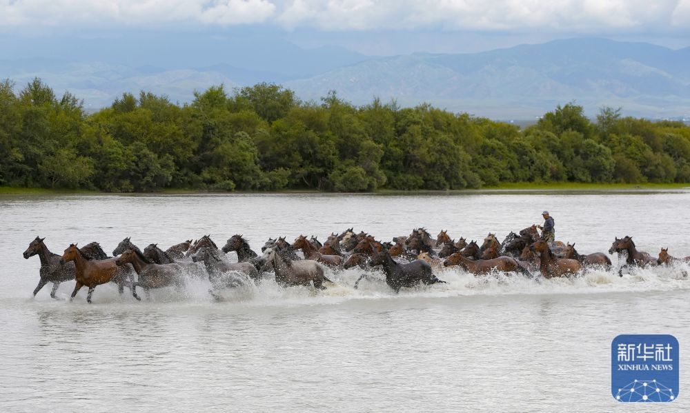 这是7月11日在新疆昭苏湿地公园拍摄的天马浴河。
