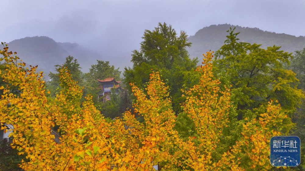 10月14日在河北省遵化市拍摄的秋景（无人机照片）。新华社发（刘满仓摄）