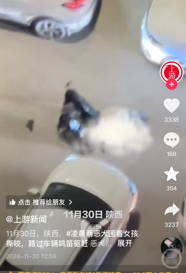 两只大型犬围咬女子被路过车辆驱赶，知情者：狗主人已接受调查