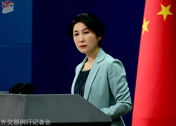 毛宁资料图。图源：外交部网站