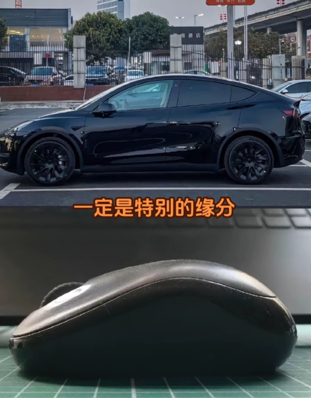“邪恶大鼠标、捣蛋蛤蟆”，路上遇到过吗？_凤凰网