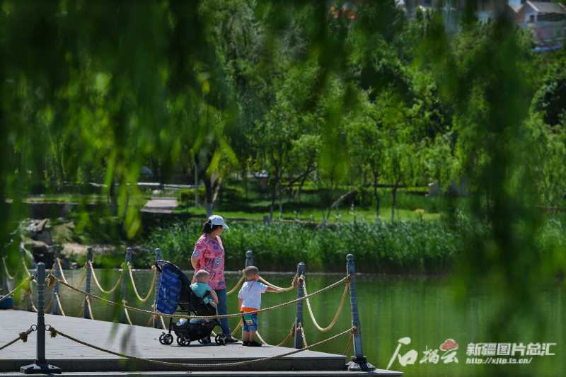 6月18日，乌鲁木齐市民在乌鲁木齐天山公园游玩。石榴云/新疆日报记者 约提克尔·尼加提摄