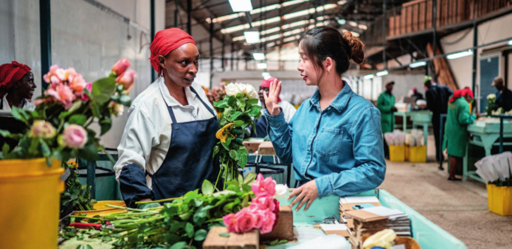 湖南玺悦国际贸易有限公司负责人黄梓楠(右)在肯尼亚纳纽基的坦布济花卉农场挑选鲜花(2024 年 5 月 18 日摄)王冠森摄 / 本刊