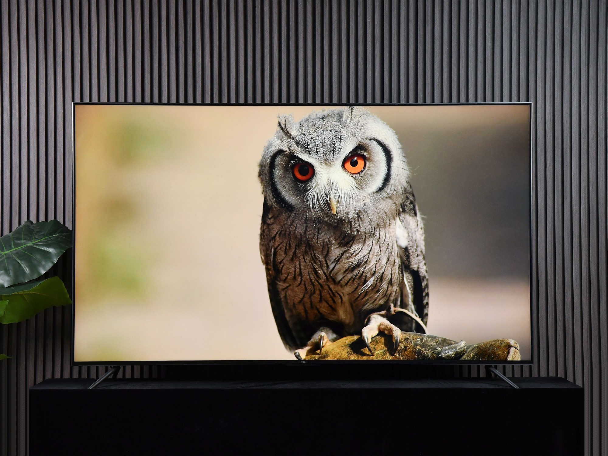 首款0有害蓝光电视:海信激光电视星光S1全场景深度测评