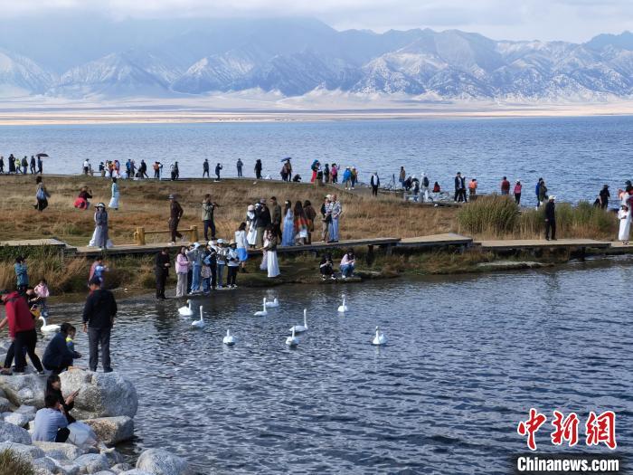 9月21日，新疆赛里木湖湖面波光粼粼，天鹅悠然游弋，秋日风光吸引来自全国各地的游客驻足欣赏、拍照打卡。赛里木湖被誉为“大西洋的最后一滴眼泪”，以其清澈的湖水和四周壮丽的雪山草原而闻名遐迩。中新社记者 王小军 摄