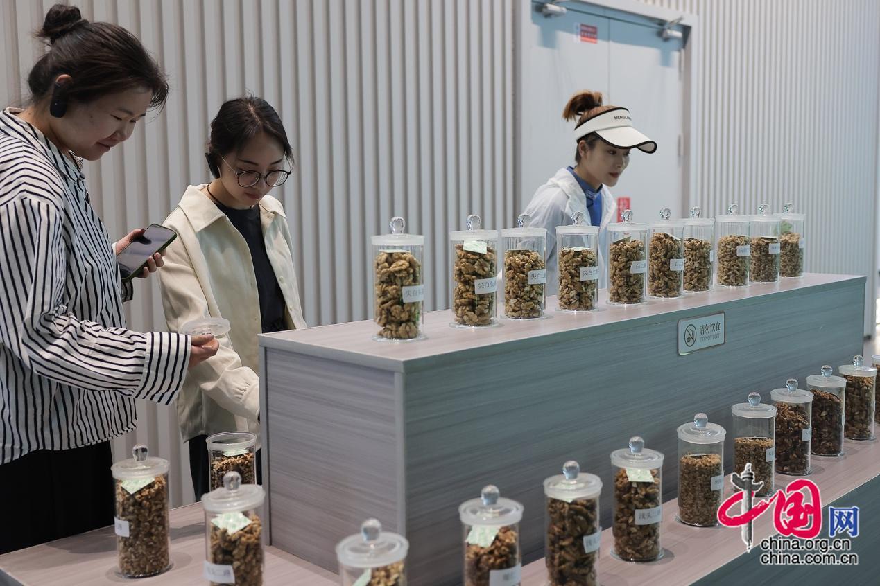 4月2日，记者们参观中国凤庆核桃展示交易中心，据介绍，凤庆县将核桃果仁按照完整度和大小进行精细分类，分别进行单独果仁出口、混合坚果、馅料搭配等对应销售，更好的提高销售利润。中国网记者 董宁 摄影