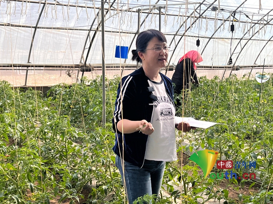 刘媛讲述植物保护工作助力农民增产增收的故事。中国青年网记者 秦亮 摄