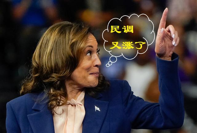 △“老气横秋”的沃尔兹被哈里斯选为副手