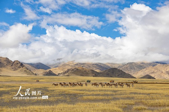 西藏阿里：高原公路建设忙【3】