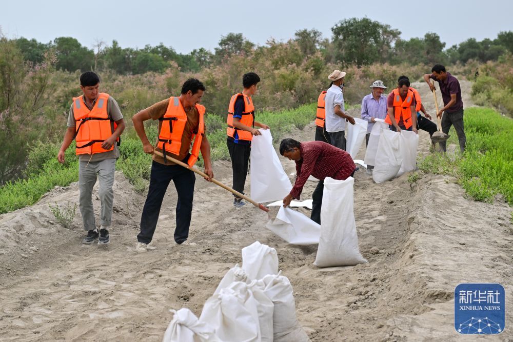 ↑在新疆阿克苏地区沙雅县盖孜库木乡一处河堤除险加固现场，抢险人员在装运沙袋（8月3日摄）。新华社记者 丁磊 摄