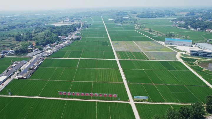 2024年6月13日拍摄的四川省绵阳市安州区塔水镇双埝村的水稻制种现代农业园区（无人机照片）。新华社发（包成 摄）