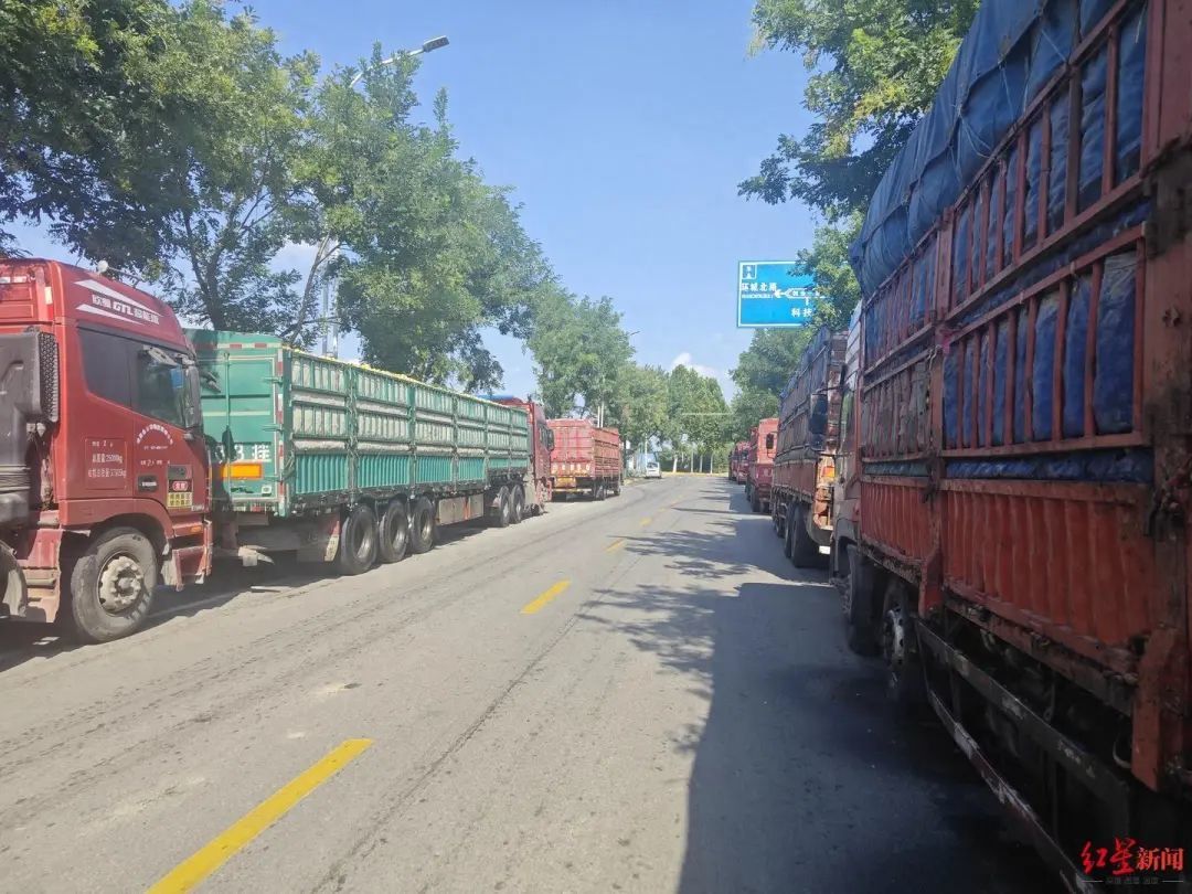 现场部分拉苹果的货车。图源：红星新闻