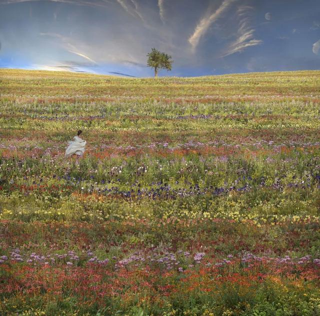 ▲ 《吉维尼的田野》吉维尼系列,让·弗朗索瓦·赫奇耶,2024,图片©️ Jean-François Rauzier