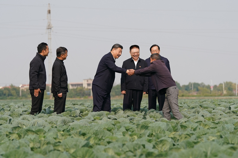 △11月5日上午，习近平总书记在湖北省咸宁市嘉鱼县潘家湾镇十里蔬菜长廊考察时，同菜农亲切交流。