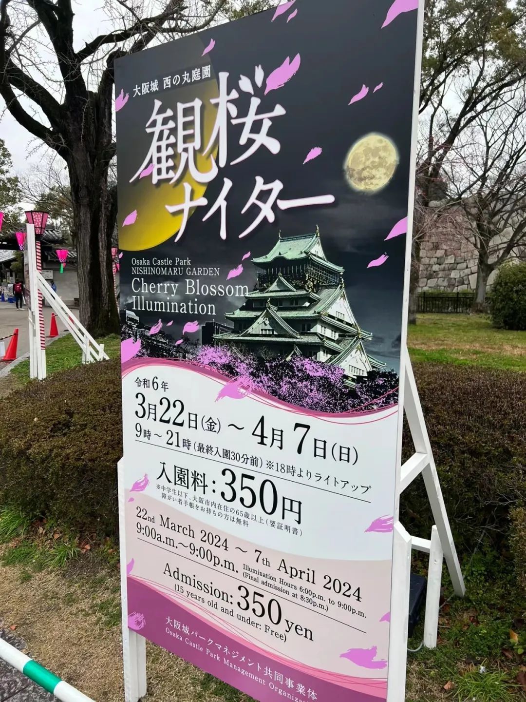 大阪城公园观樱海报