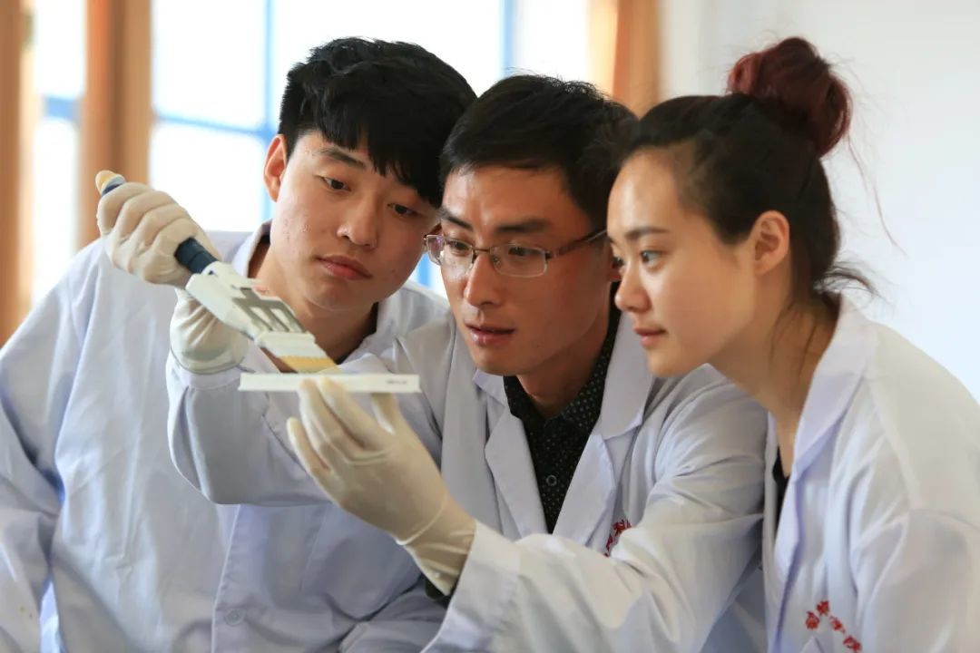 黑龙江农业经济职业学院教师指导学生进行药品研制。