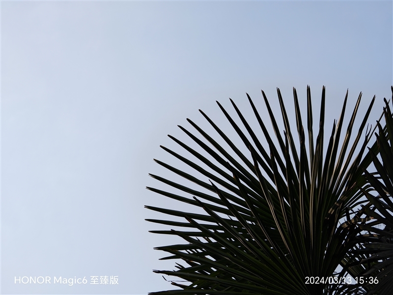 荣耀Magic6 至臻版全面评测:真正无短板的顶级旗舰