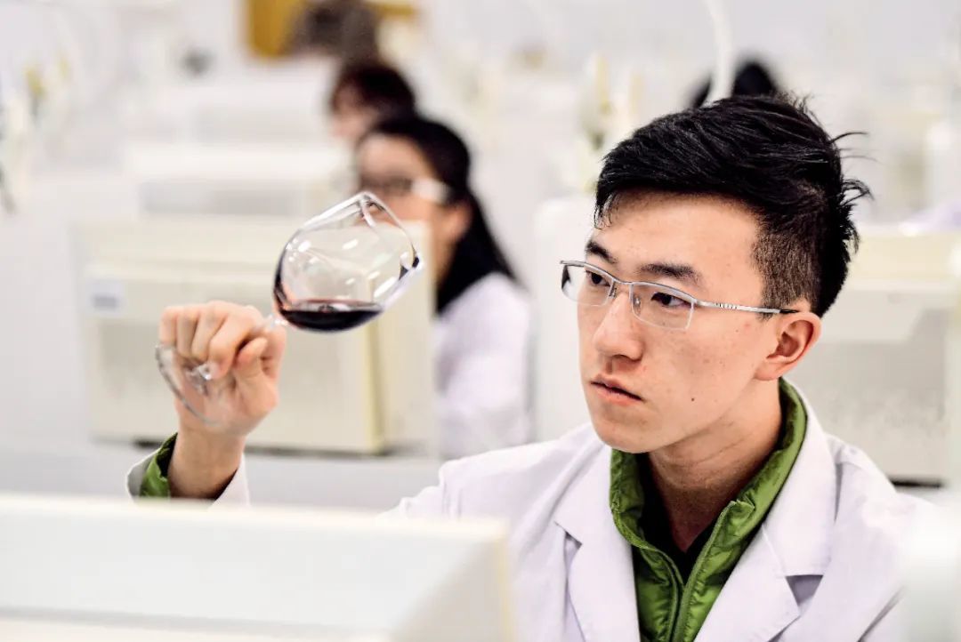 2023年4月6日，沈阳药科大学功能食品与葡萄酒学院葡萄酒品鉴室，大学生们在上葡萄酒相关课程。图/视觉中国