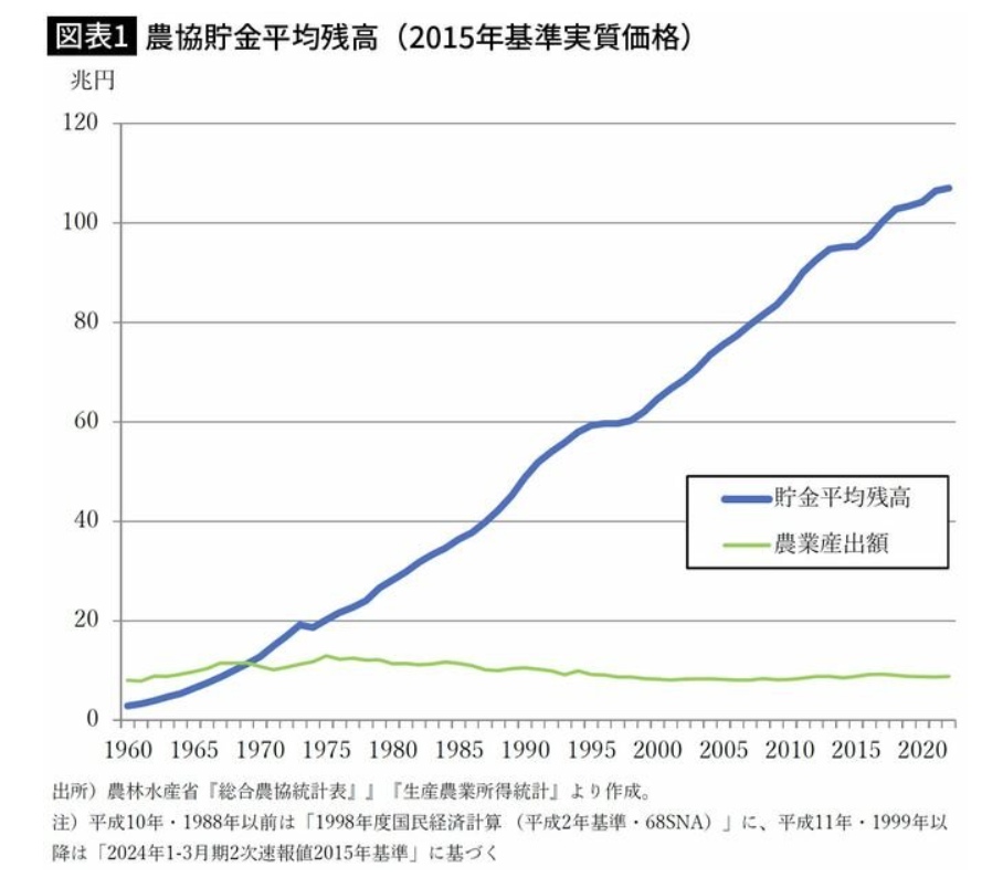 作者供图