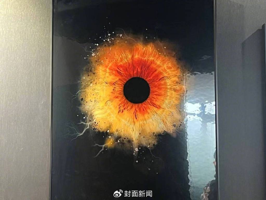 虹膜写真