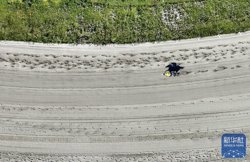 这是7月13日在新疆昭苏中国西域赛马场拍摄的赛马（无人机照片）。